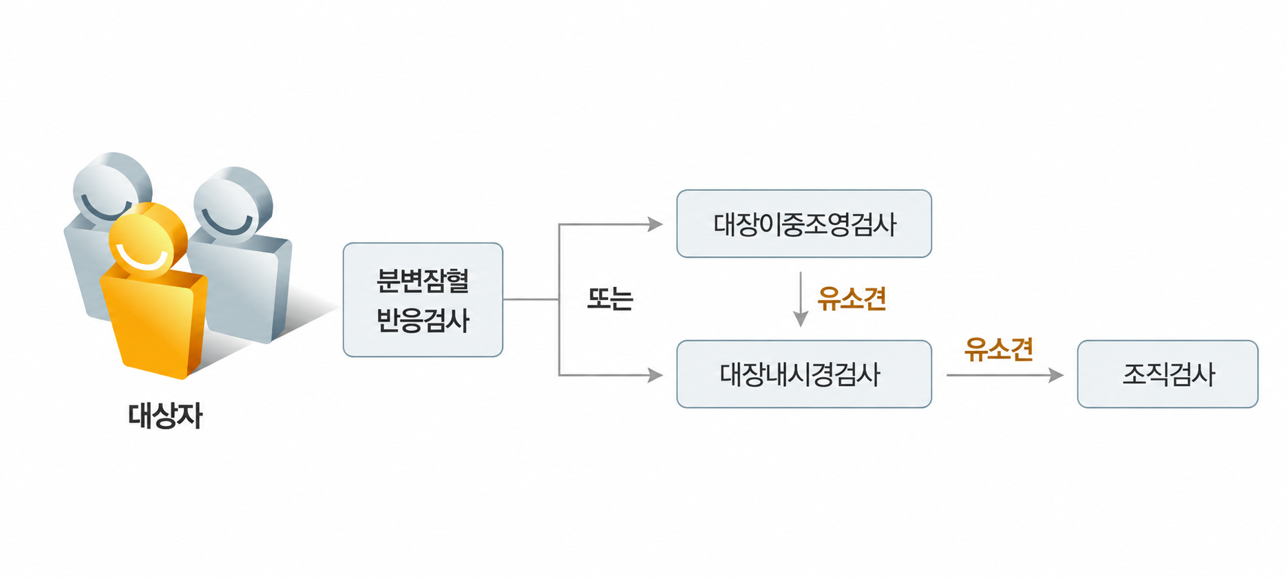 대장암검진 흐름도: 대상자 &rarr; 분변잠혈반응검사 &rarr; 대장이중조영검사 또는 대장내시경검사 &rarr; 유소견 &rarr; 조직검사